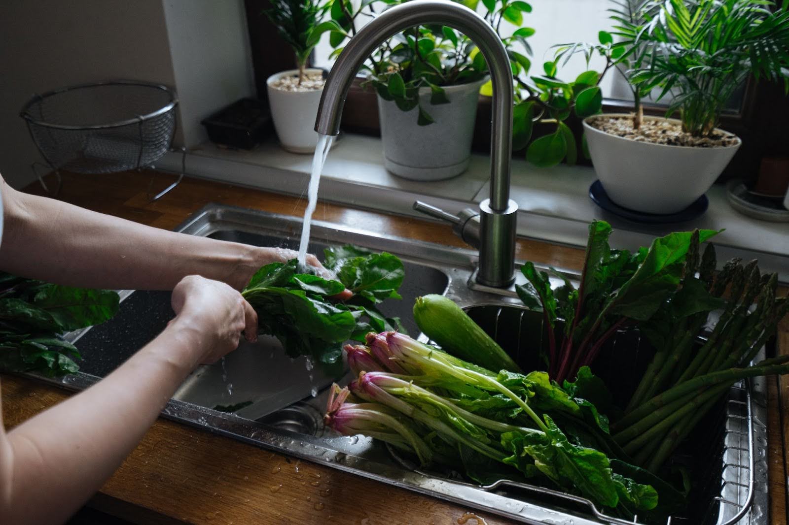 Homeowner Washing Vegetables at Sink