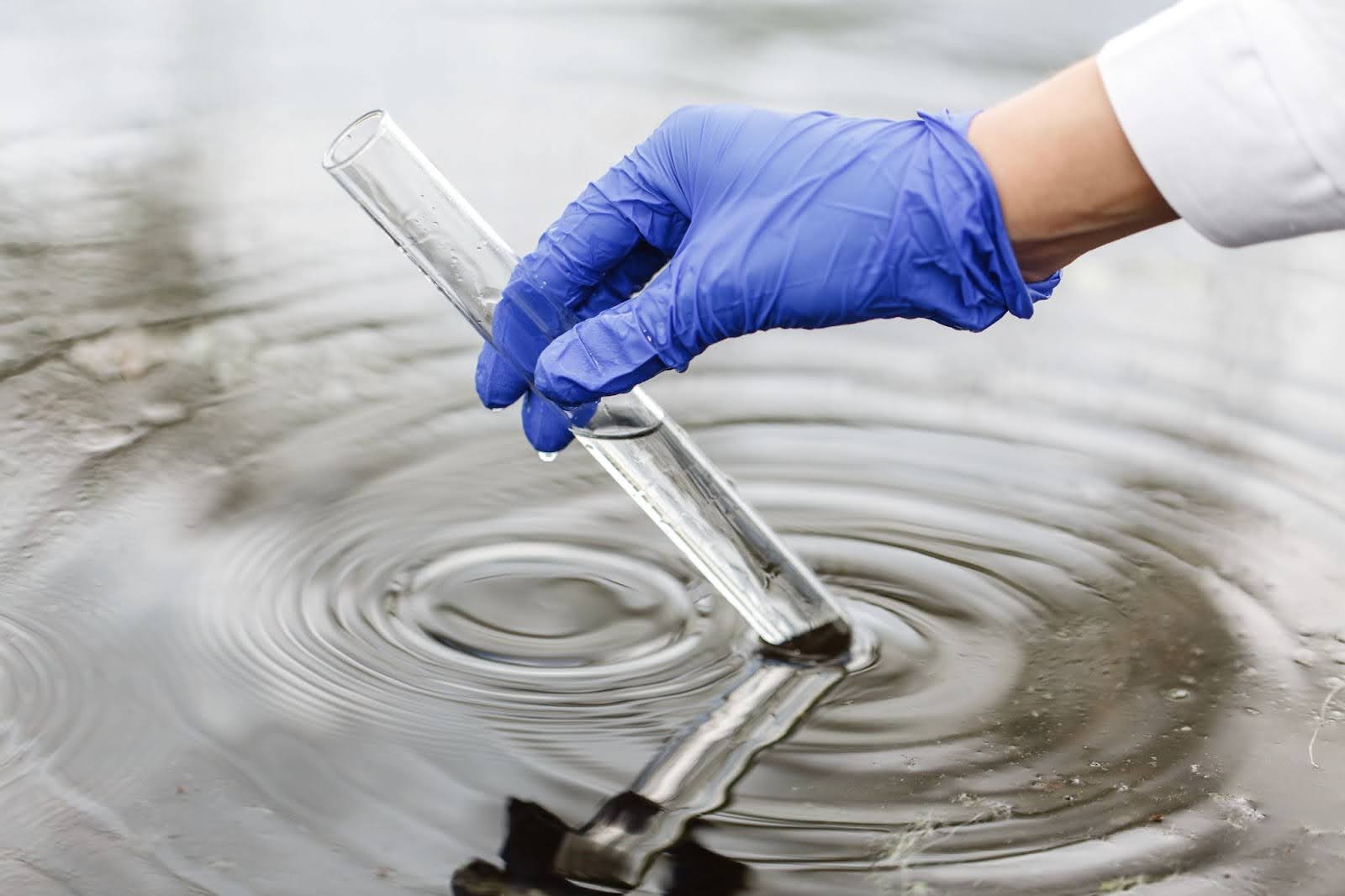 Scientist Taking Water Sample With Test Tube